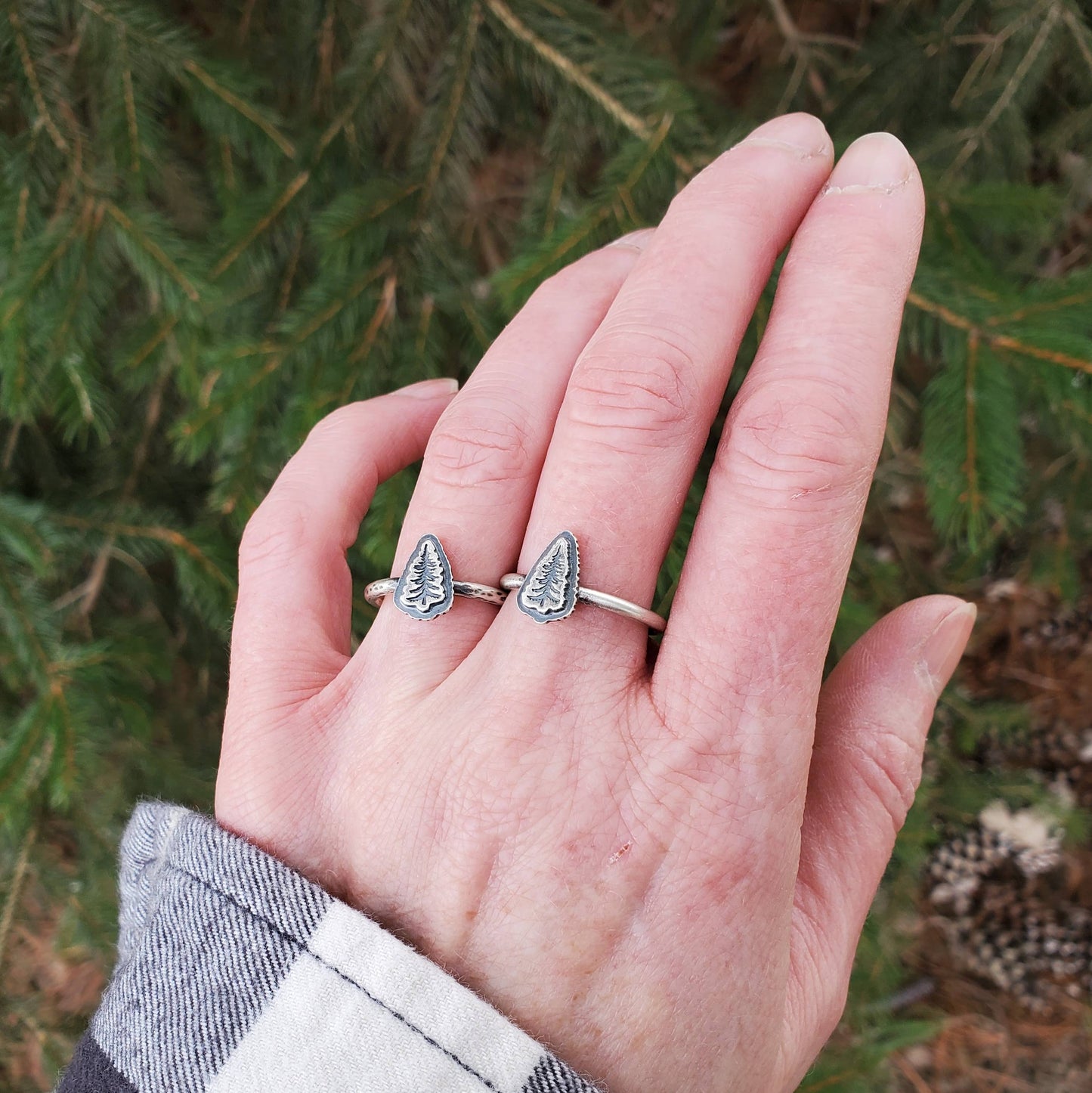 Pine Tree Ring