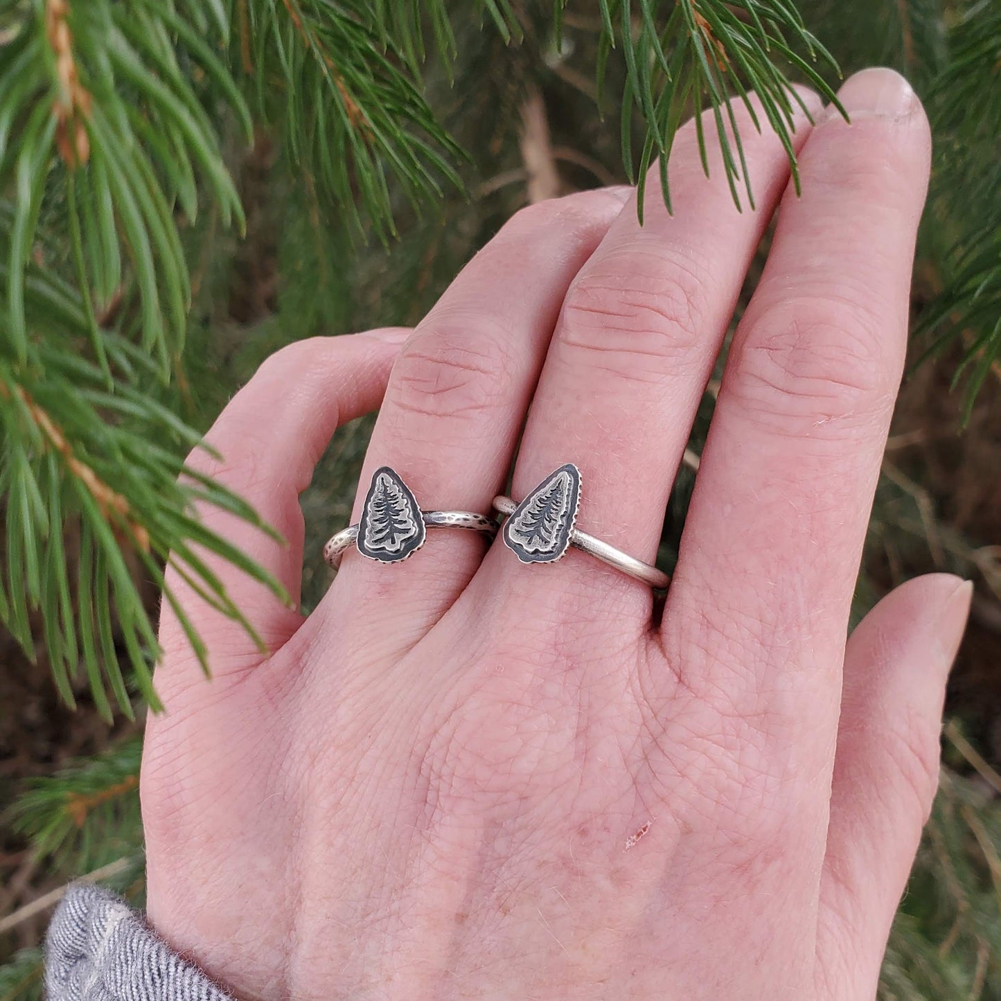 Pine Tree Ring