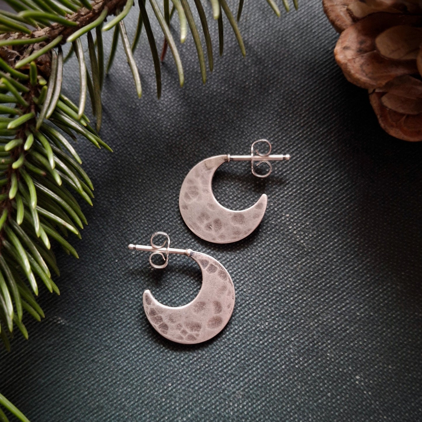 Crescent Moon Earrings