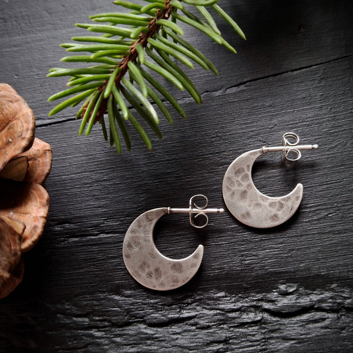 Crescent Moon Earrings