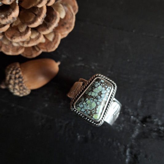 Star Fox Variscite Night-time Mountain Ring - Size 9.5